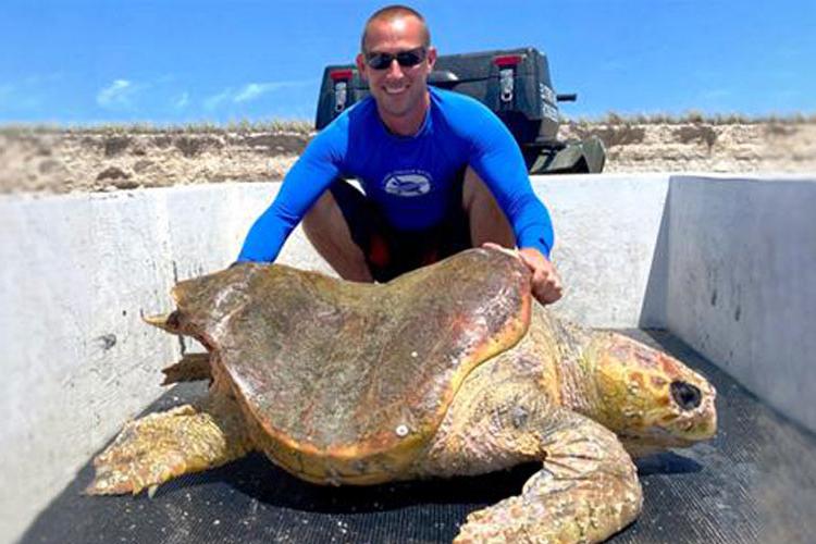 Sea Turtle Scientist Jeff Guertin